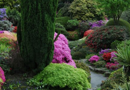 Создание сада с цветущими кустарниками и деревьями